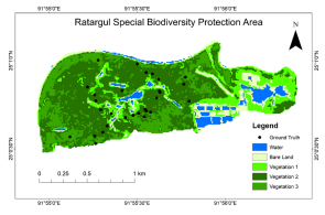 Forest degradation assessment of Ratargul Special Biodiversity Protection Area for conservation implications